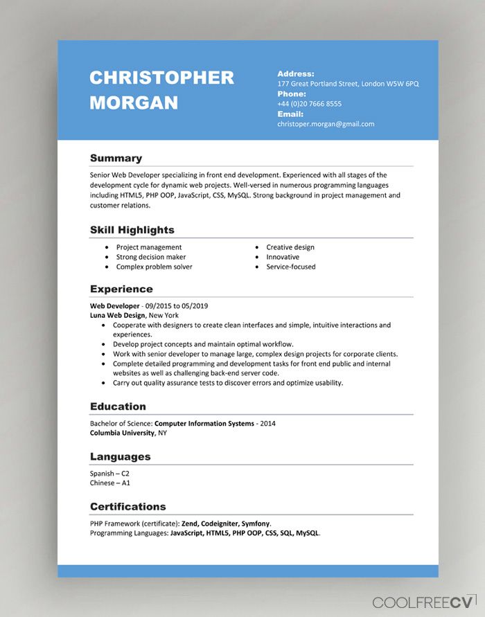 Curriculum vitae template sample