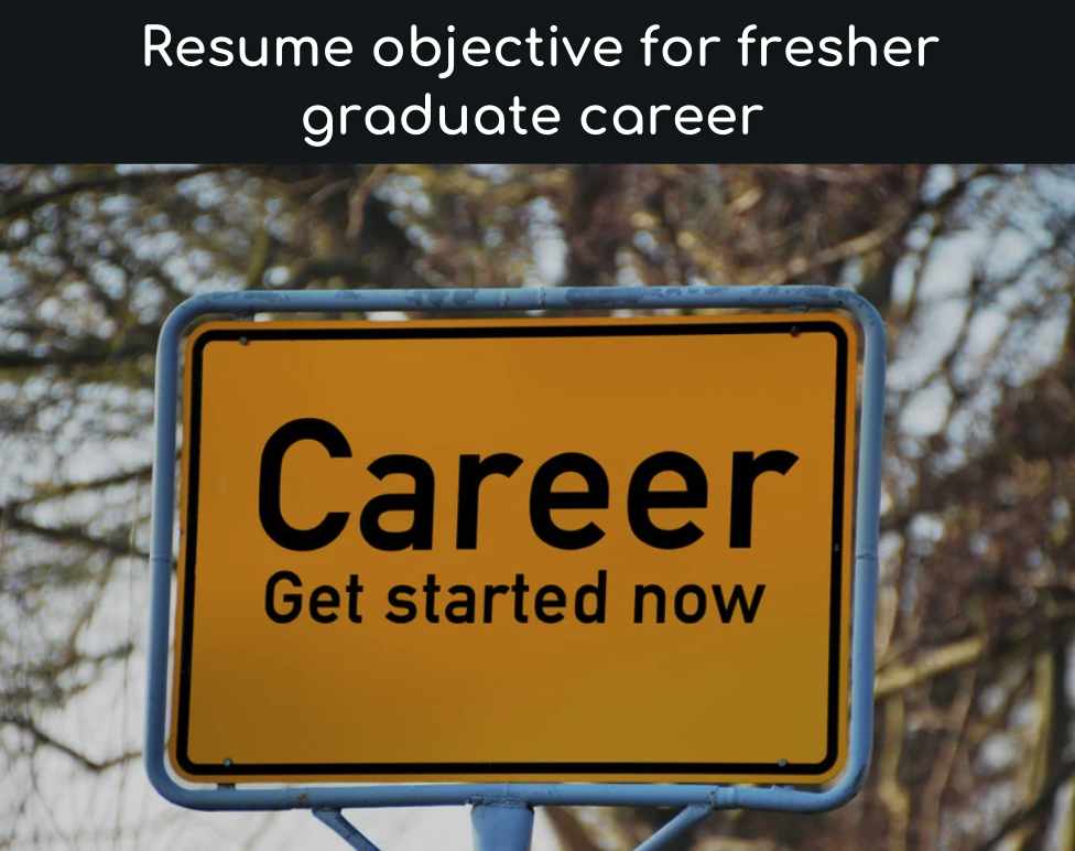 Resume objective for fresher graduate career 